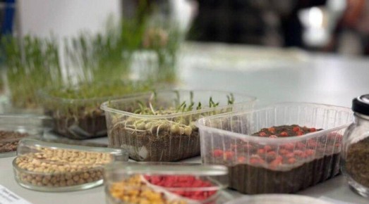 Школьники из Запорожской области посетили агротехнологический факультет МелГУ