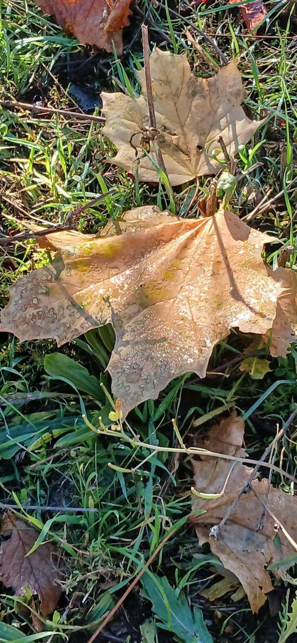 Доброе-предоброе утро! Желаем приятного пробуждения
