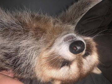 Доброй ночи, дорогие подписчики! Доброй ночи, Запорожье!