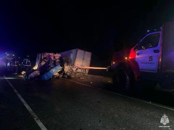 Два человека погибли и один пострадал в аварии между фурой и Газелью в Запорожской области