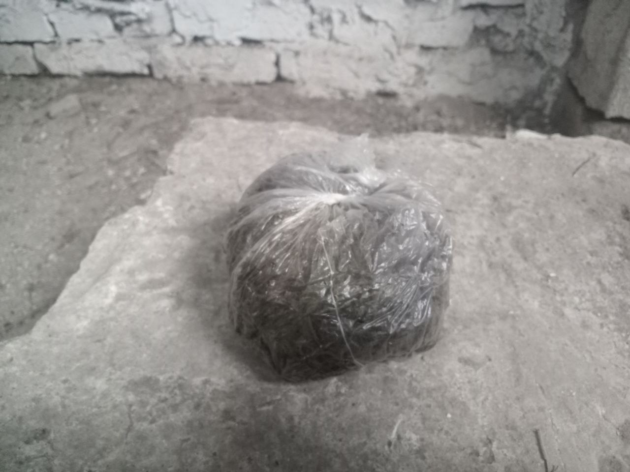 В Приазовском районе полицейские задержали подозреваемого в незаконном хранении наркотических средств В Приазовском районе полицейские задержали подозреваемого в незаконном хранении наркотических средств