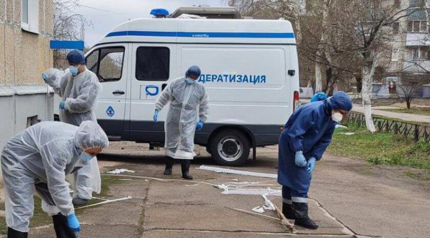 Жители Энергодара пожаловались на мышей в домах