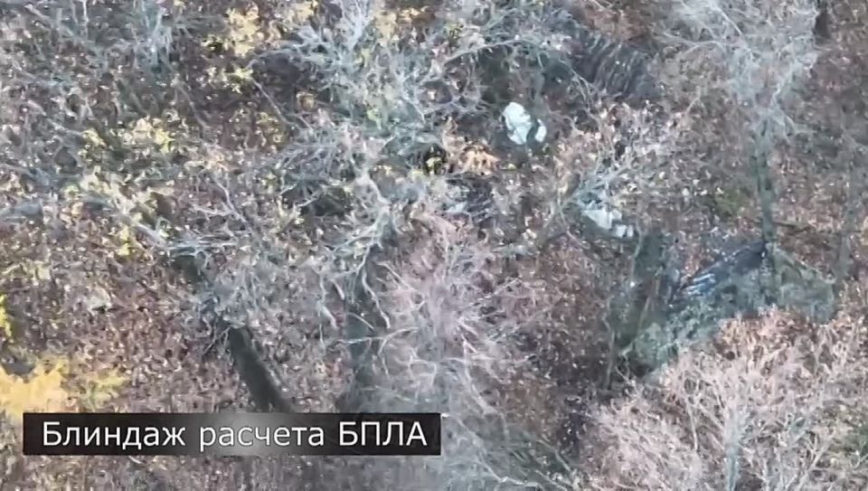 ЭКСКЛЮЗИВ: Отряд «Анвар» сеет хаос в тылах ВСУ!