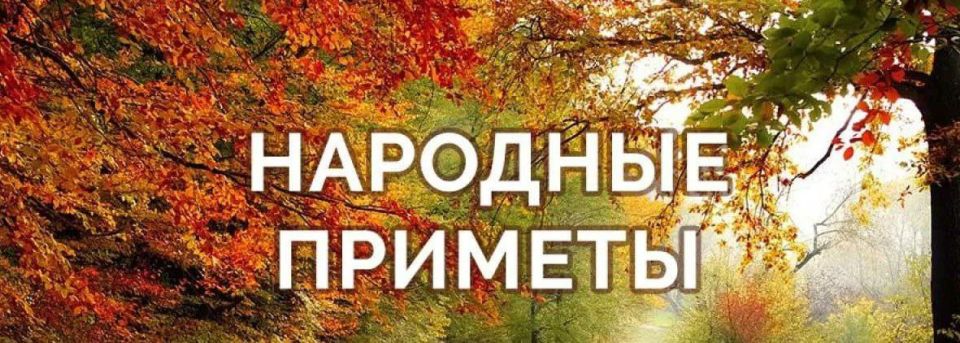 Доброе утро, Днепрорудное. Пусть этот день подарит вам море радости и улыбок, а каждое мгновение будет особенным Доброе утро, Днепрорудное. Пусть этот день подарит вам море радости и улыбок, а каждое мгновение будет особенным