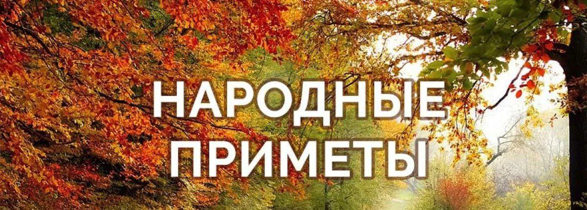 Доброе утро, Днепрорудное. Пусть этот день подарит вам море радости и улыбок, а каждое мгновение будет особенным Доброе утро, Днепрорудное. Пусть этот день подарит вам море радости и улыбок, а каждое мгновение будет особенным