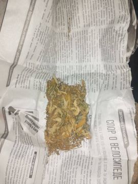 Полицейские Запорожской области изъяли запрещенные вещества