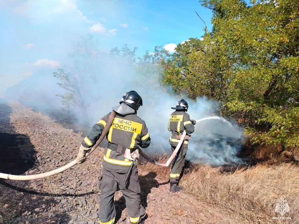 Оперативная информация за сутки