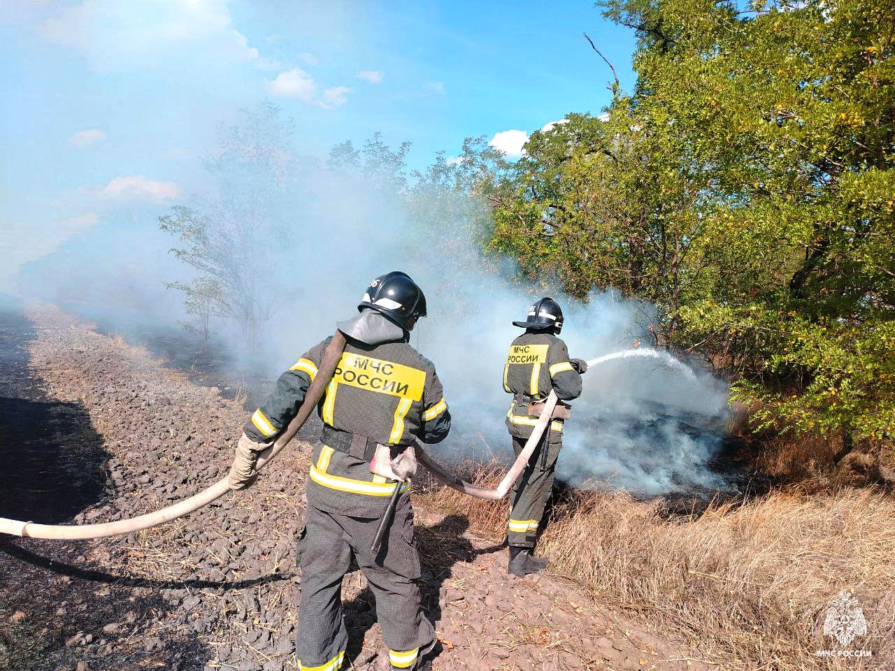 Оперативная информация за сутки