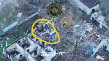 Противнику не скрыться. Боевая работа операторов 247 ДШП батальона «Клён» по уничтожению пункта управления БПЛА противника в н.п. Степногорск, Запорожское направление