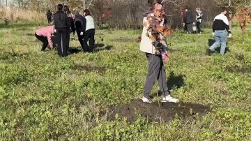 В преддверии Дня народного единства в пгт Черниговка прошла высадка аллеи, посвященной воинам, освобождавшим Запорожскую область от нацистских захватчиков