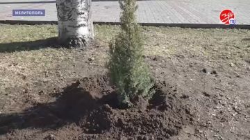 Предприятие «Благоустройство» продолжает наводить порядок на общественных пространствах Мелитополя