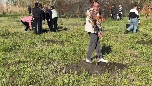 В преддверии Дня народного единства в пгт Черниговка прошла высадка аллеи, посвященной воинам, освобождавшим Запорожскую область от нацистских захватчиков