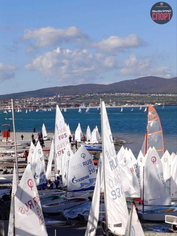 ���������� ����������� ������� ��������� ������� � ������������� ������-��������� ������ � �.���������