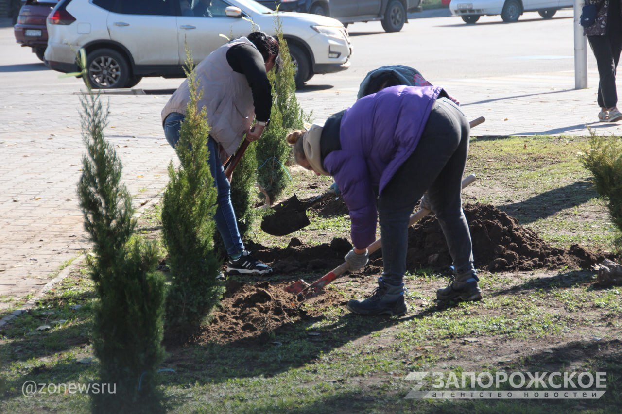 В Мелитополе высадили более 60 хвойных растений в сквере на пересечении проспекта Богдана Хмельницкого и улицы Кирова В Мелитополе высадили более 60 хвойных растений в сквере на пересечении проспекта Богдана Хмельницкого и улицы Кирова