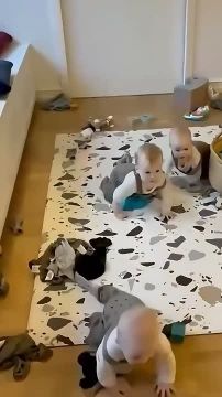 Малыши и котики - двойная порция милоты после рабочего дня))