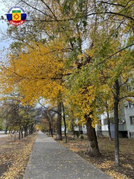 Доброе утро всем! Пусть день грядущий будет добрым и радостным