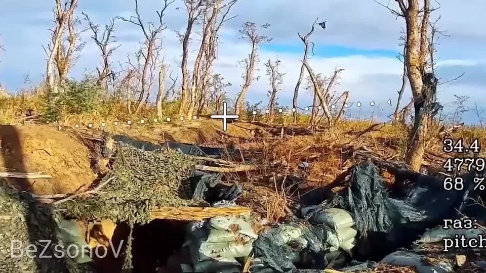 ������ ��������: ����� ��������� ����������, ������������� � ������� ��� ����������� FPV-������ 58-� ����� �� ����������� �����������