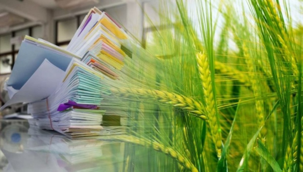 В России будут использовать ФГИСы при агростраховании