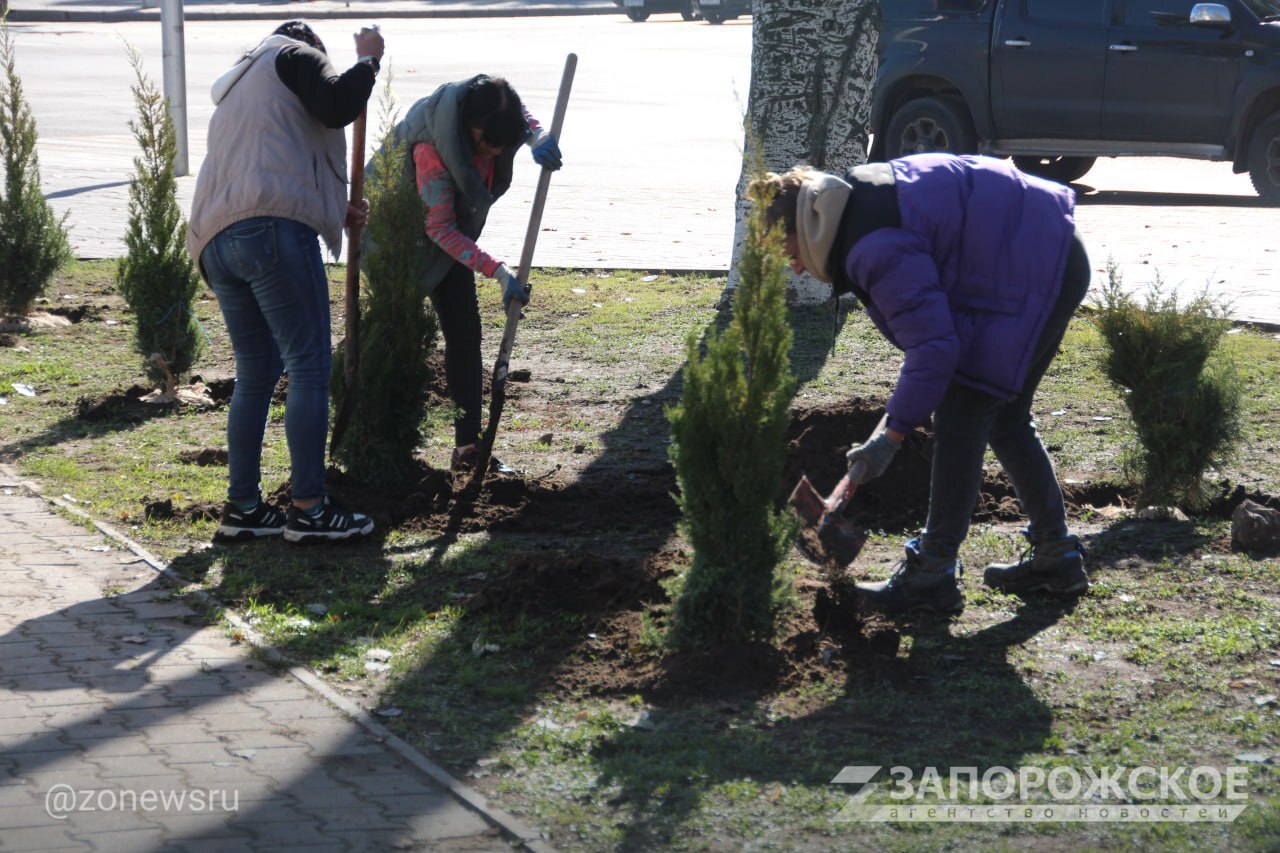 В Мелитополе высадили более 60 хвойных растений в сквере на пересечении проспекта Богдана Хмельницкого и улицы Кирова В Мелитополе высадили более 60 хвойных растений в сквере на пересечении проспекта Богдана Хмельницкого и улицы Кирова