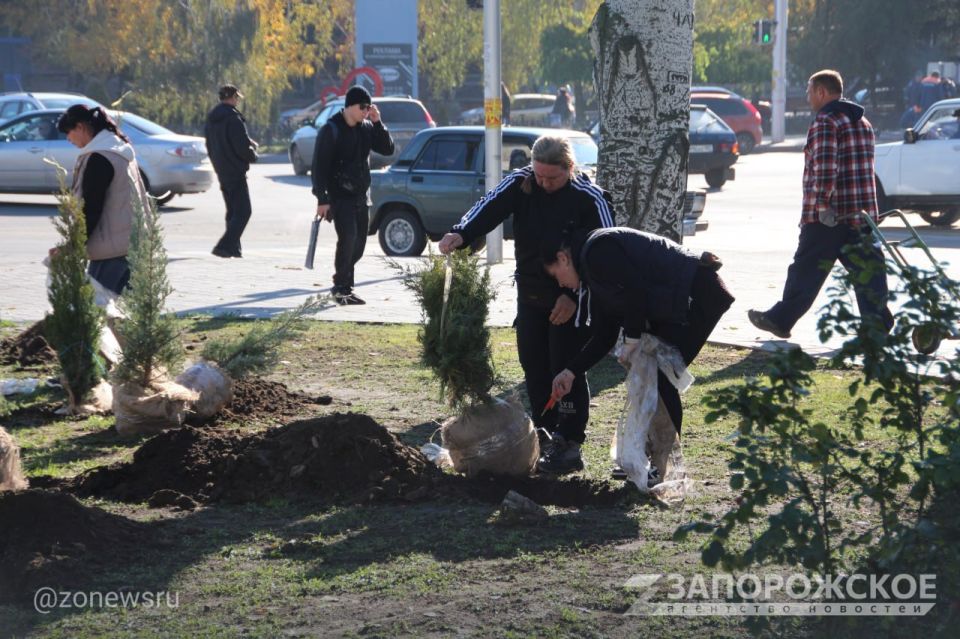 В Мелитополе высадили более 60 хвойных растений в сквере на пересечении проспекта Богдана Хмельницкого и улицы Кирова В Мелитополе высадили более 60 хвойных растений в сквере на пересечении проспекта Богдана Хмельницкого и улицы Кирова