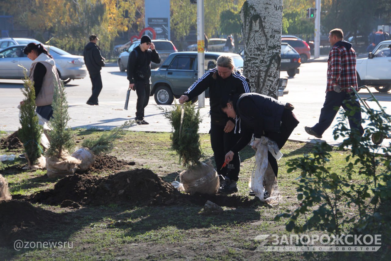 В Мелитополе высадили более 60 хвойных растений в сквере на пересечении проспекта Богдана Хмельницкого и улицы Кирова В Мелитополе высадили более 60 хвойных растений в сквере на пересечении проспекта Богдана Хмельницкого и улицы Кирова