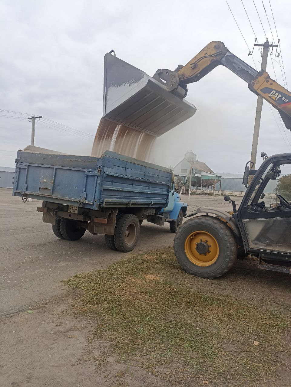 В Токмакском муниципальном округе проводится уборка подсолнечника и сев озимых культур В Токмакском муниципальном округе проводится уборка подсолнечника и сев озимых культур