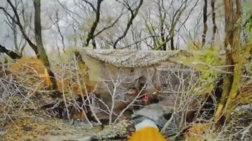 Операторы БПЛА группировки войск «Восток» уничтожили замаскированное артиллерийское орудие ВФУ в Запорожской области