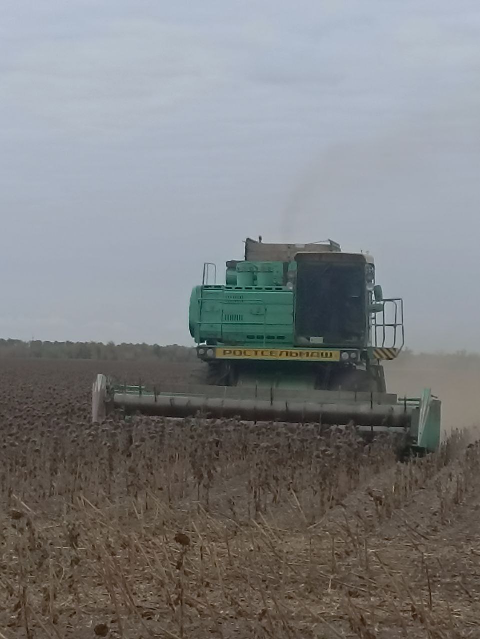 В Токмакском муниципальном округе проводится уборка подсолнечника и сев озимых культур