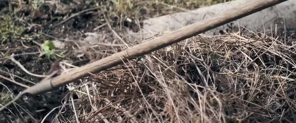 ������ ���� ��� � ������� �� ������