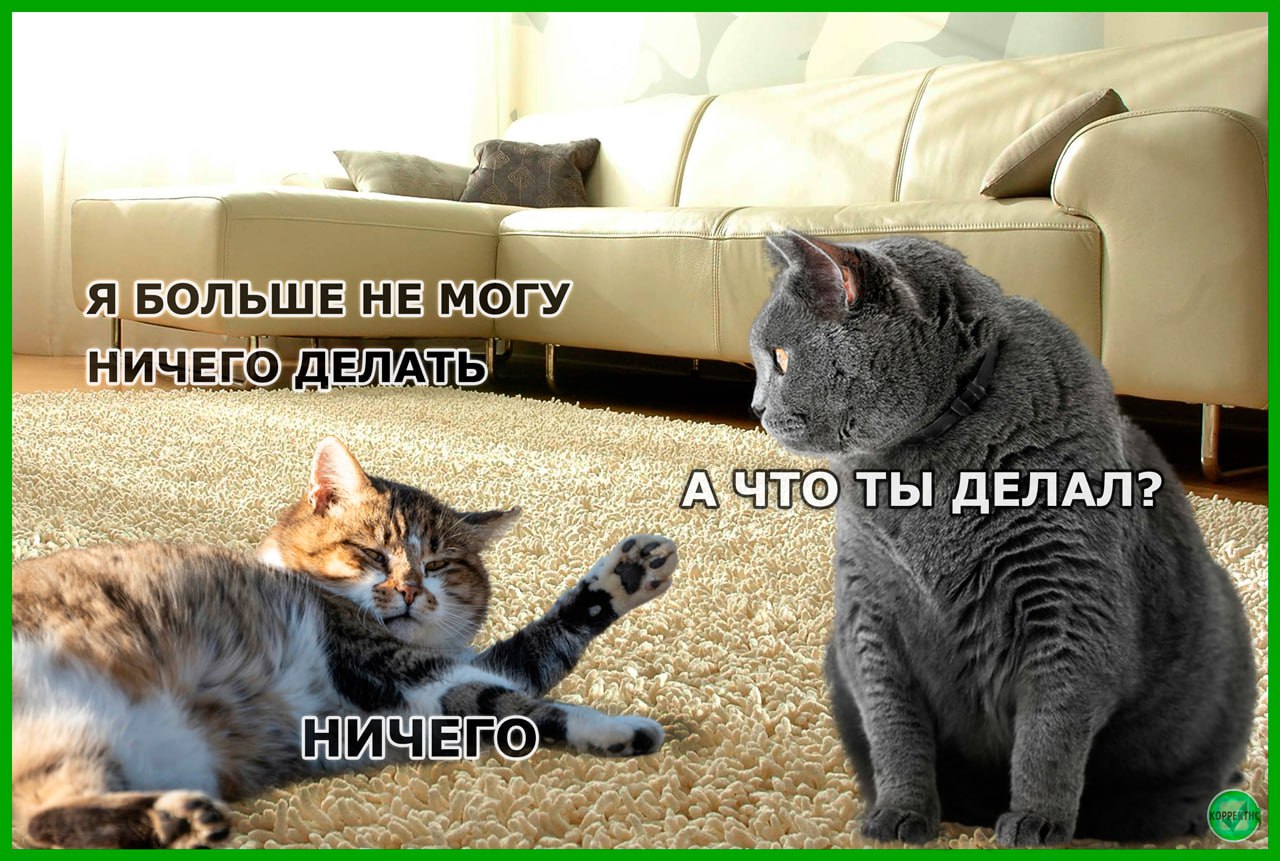 Профессиональные праздники в ноябре