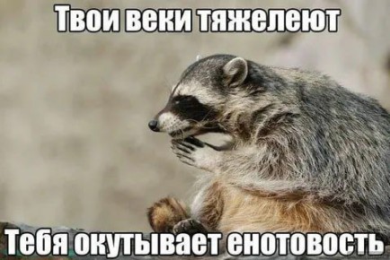 Доброй ночи, дорогие подписчики! Доброй ночи, Запорожье!