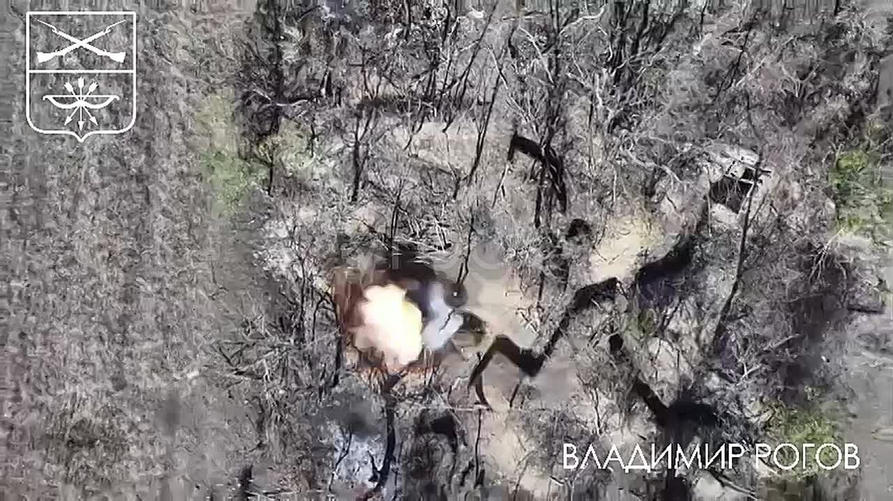 Владимир Рогов: Русские дроноводы против нацистов