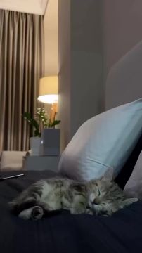 Вечер пятницы, выдыхаем. Сегодня ложимся раньше — завтра на работу