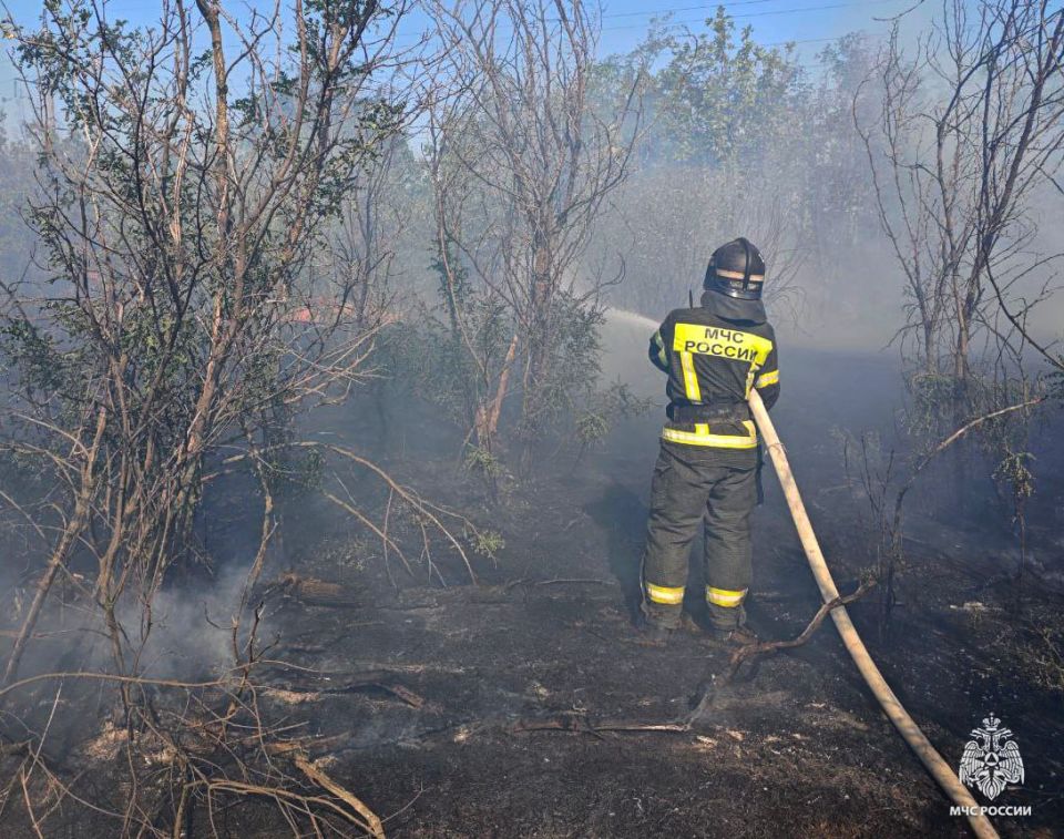 ����������� ���������� �� �����