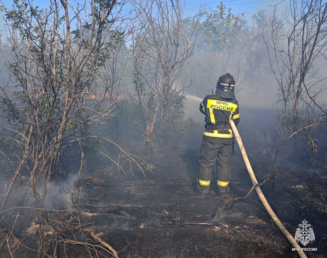Оперативная информация за сутки