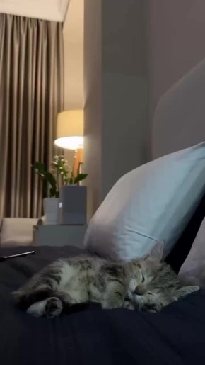 Вечер пятницы, выдыхаем. Сегодня ложимся раньше — завтра на работу