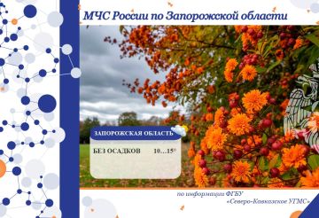 С 31 октября на 01 ноября на территории региона ожидается: