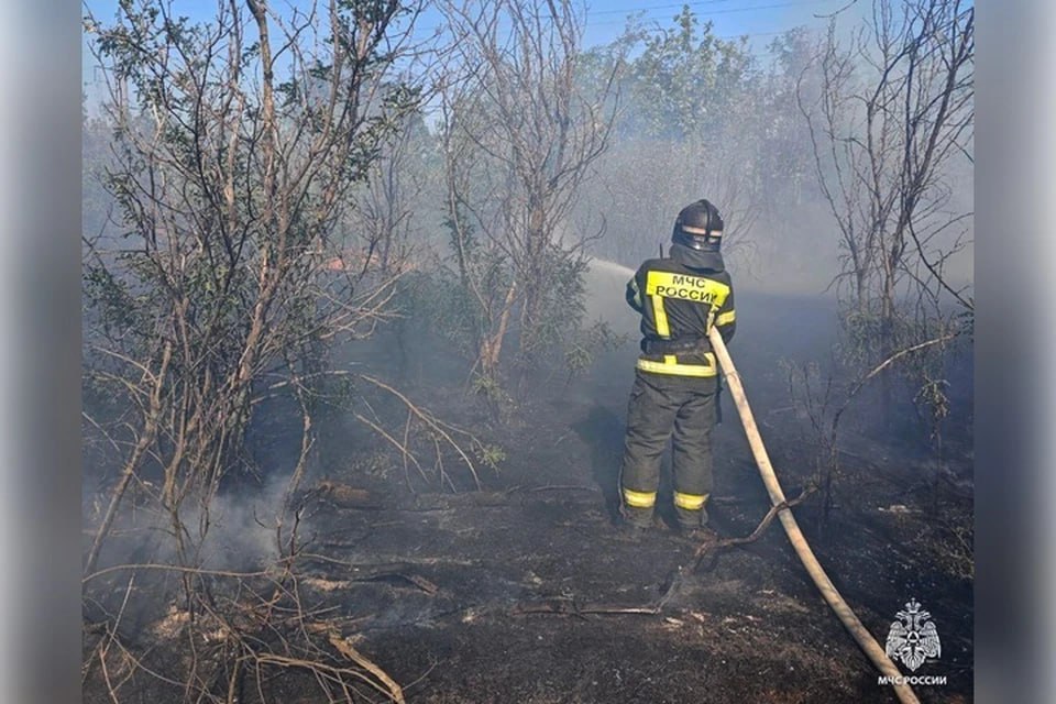 Два пожара произошло в Запорожской области 30 октября