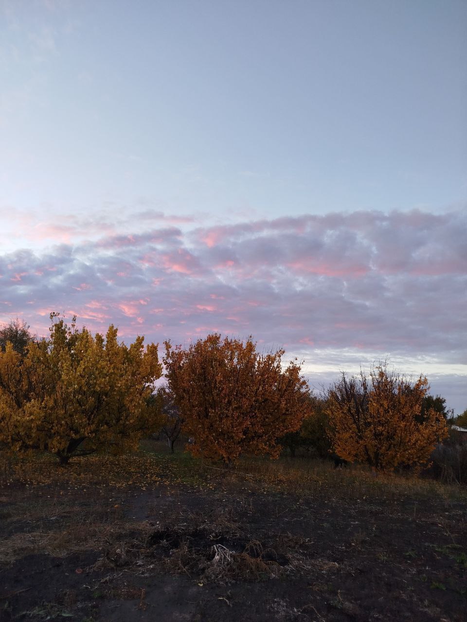 Доброе утро из Зареченского территориального отдела — с теплом и хорошим настроением от нашей подписчицы Елены! Доброе утро из Зареченского территориального отдела — с теплом и хорошим настроением от нашей подписчицы Елены!