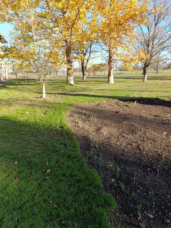 � �������������� ��� ��������� � ����������� ������ � ������������ ������ ���������