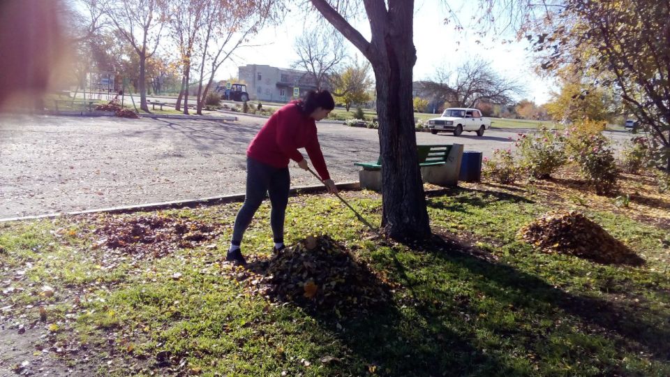 ��������� ����������� ��� ��������� � ����������� ����� �� �������������� ���������