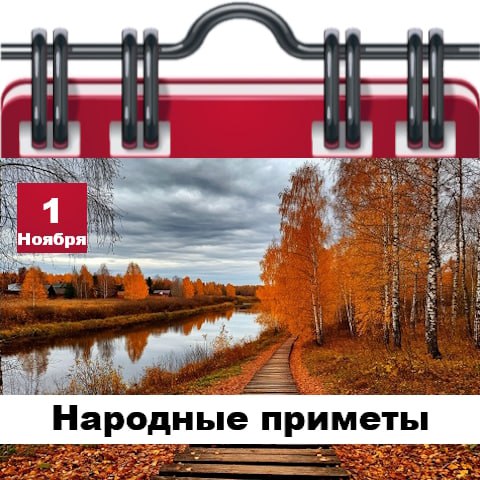 Сегодня 1 ноября 2025 года, суббота – отмечается 16 праздников Сегодня 1 ноября 2025 года, суббота – отмечается 16 праздников