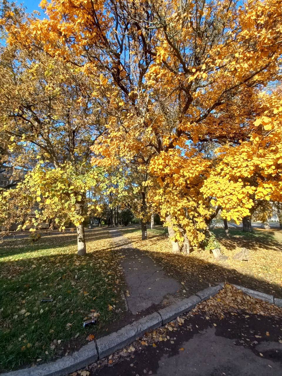 Утро — рождение нового дня, начало маленькой главы жизни Утро — рождение нового дня, начало маленькой главы жизни