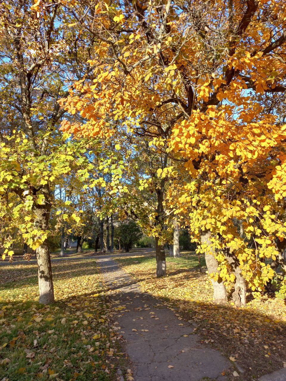 Утро — рождение нового дня, начало маленькой главы жизни