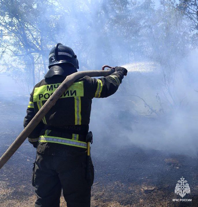 ����������� ���������� �� �����