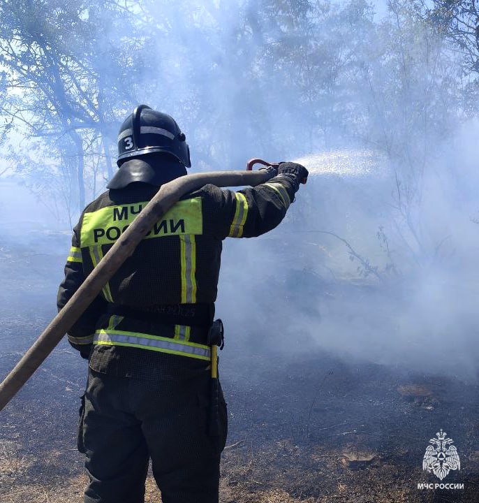 Оперативная информация за сутки