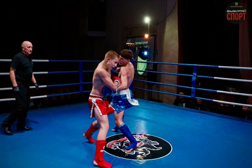 ����������� ������� ������� ������� � V ������� ��������� ���������� ���� Grand Fight�