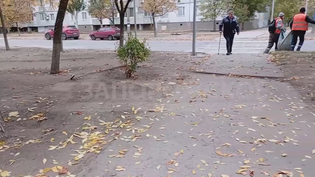 Как коммунальщики справляются с листопадом в Энергодаре