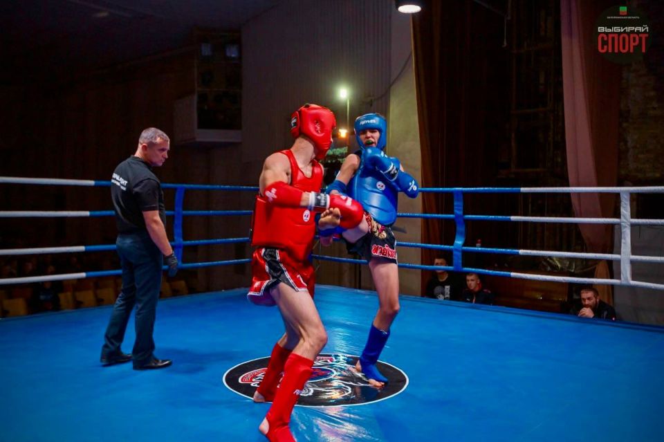 ����������� ������� ������� ������� � V ������� ��������� ���������� ���� Grand Fight�