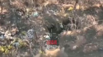 WarGonzo: Штурма совместно с птичниками забирают укреп у ВСУ